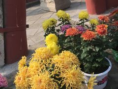 -西安化觉巷清真大寺