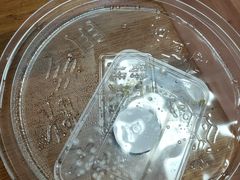-山河屯铁锅炖鲜鹅·东北菜(开发区一店)