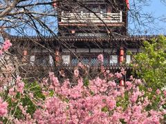 -龟山风景区-龟山电视塔