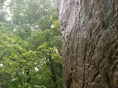 -洛阳白云山景区