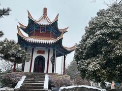 -戏马台景区