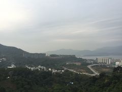 -大埔公路-马料水段香港中文大学(公交站)