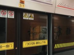 -杨高南路(地铁站)