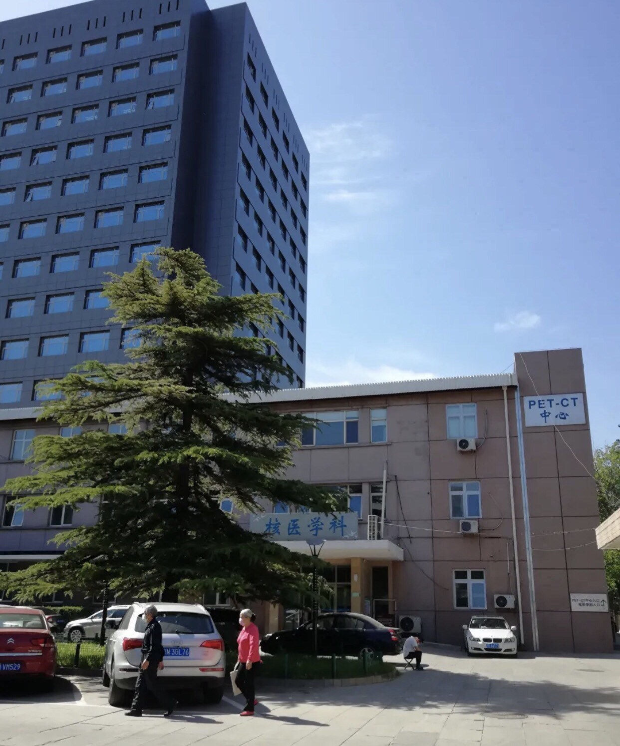 包含中國醫學科學院腫瘤醫院、豐臺區代幫掛號，良心辦事實力掛號的詞條