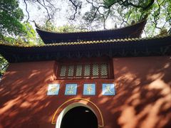 -普陀山风景名胜区-法雨禅寺
