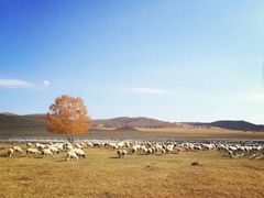 -塞罕坝国家级自然保护区