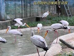 -北京动物园