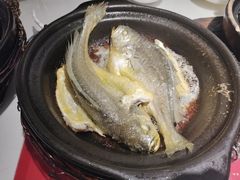 金榜黄花鱼-恭喜上堓砂锅焗·海鲜大排档(闵行龙湖店)
