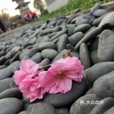 我见到了久违的阳光，是那么的灿烂，使人感到无限的暖意