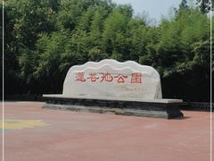 -莲花池公园
