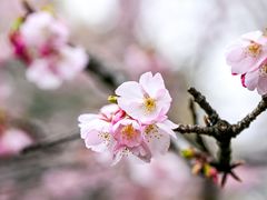 -静安雕塑公园