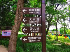 -阳台山自然风景区