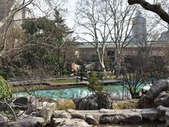 -静安公园(静安寺街道)
