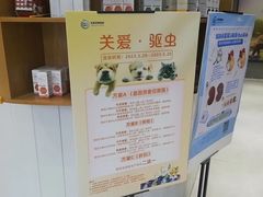 -关爱宠物医院·猫科中心·消化科(滨湖万达分院)