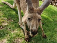 -泉州海丝野生动物世界
