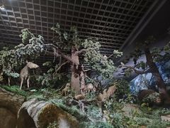 -呼和浩特博物馆