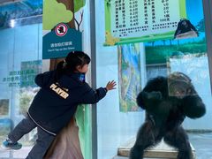 -西安秦岭野生动物园