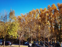 -野鸭湖国家湿地公园