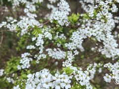 -周口店北京人遗址公园