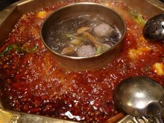 -蜀九香火锅(彩虹店)