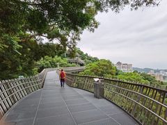 -福道
