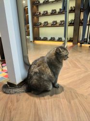 -优刻西服西装定制(金轮国际广场店)