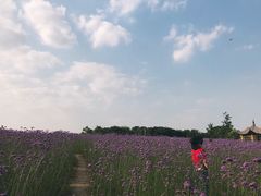 -杭州城北体育公园