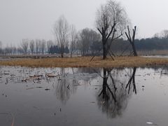 -大兴滨河森林公园