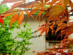 -润泽天·湘味家宴(岳麓山店)