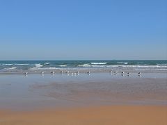 -日照海滨国家森林公园