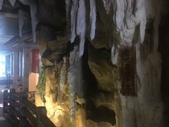 -御池园(顾村公园店)