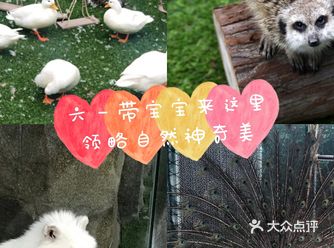 六一带娃必去胜地&萌宠乐园