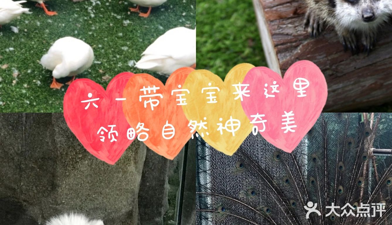 六一带娃👶必去胜地&萌宠乐园🐖