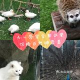 六一带娃👶必去胜地&萌宠乐园🐖