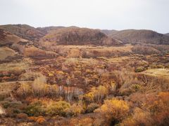 -塞罕坝国家级自然保护区