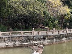 -上海千禧海鸥大酒店