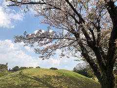 -水前寺成趣园
