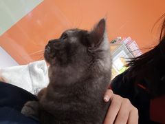 -宝大祥青少年儿童购物中心(南京东路店)