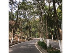 -火炉山森林公园