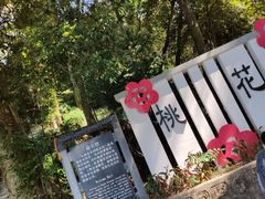 -广州市流溪河国家森林公园