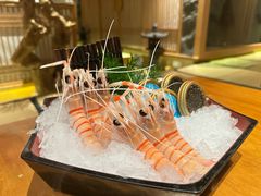 新西兰鳌虾-水濑·日料放题(天河店)