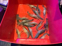 -钳真多钓虾馆·小龙虾海鲜烧烤(九六广场店)