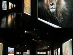 -罗红摄影艺术馆