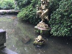 -杭州黄龙洞