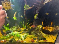 -穆老九清真牛羊肉馆(宋城店)