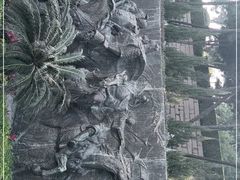 -鼓浪屿·皓月园