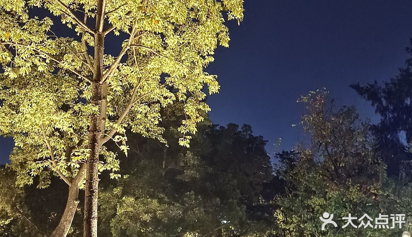 广州沙面🉐兰桂坊