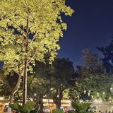 广州沙面🉐兰桂坊