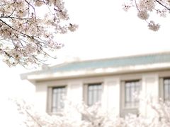 -武汉大学-樱园