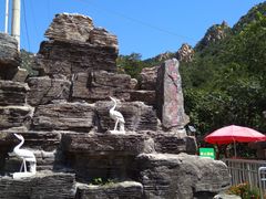 -大岭沟猕猴桃谷风景区